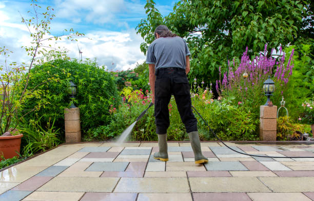 Best Roof Washing  in Lake Elsinore, CA