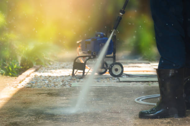 Best Dumpster Area Cleaning  in Lake Elsinore, CA